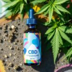 Du tabou à la tendance : comment le CBD s’est imposé dans la culture populaire